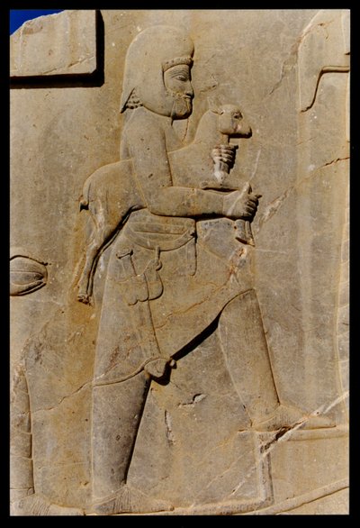 A Mede carrying a sacrificial lamb up the eastern stairway of the south portico of Darius